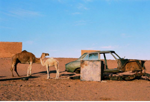 coche y camellos