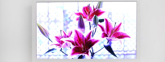 Agenda del 10 al 16 de agosto