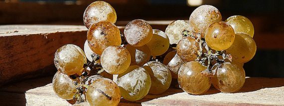 Uvas de la suerte. Foto de Juantiagues.flickr.com (cc).