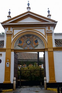 palacio-de-las-duenas