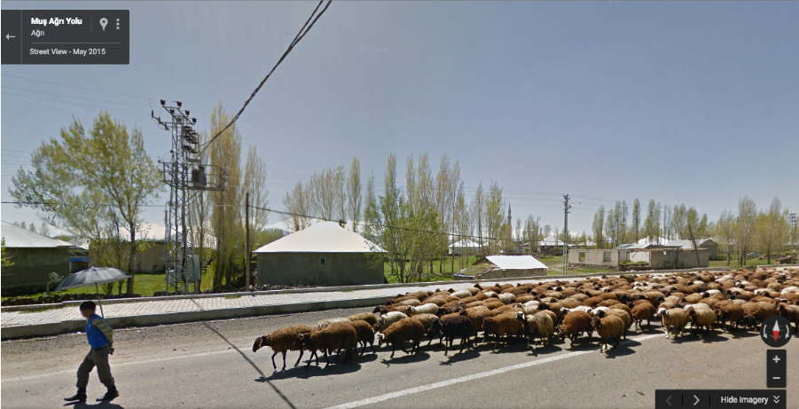 Captura de Google Sheep View.