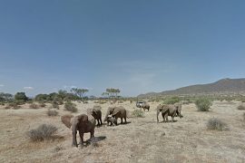 Parque natural de Samburu desde Street View.