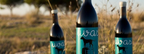 Las uvas nómadas de Malaparte wine.