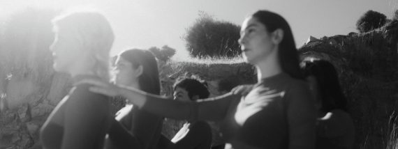 LA_CURA_PALOMITA_BLANCA